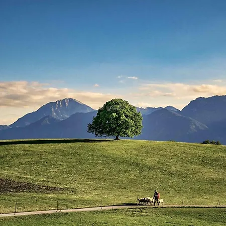 Rosi's Kampenwandblick Prien am Chiemsee