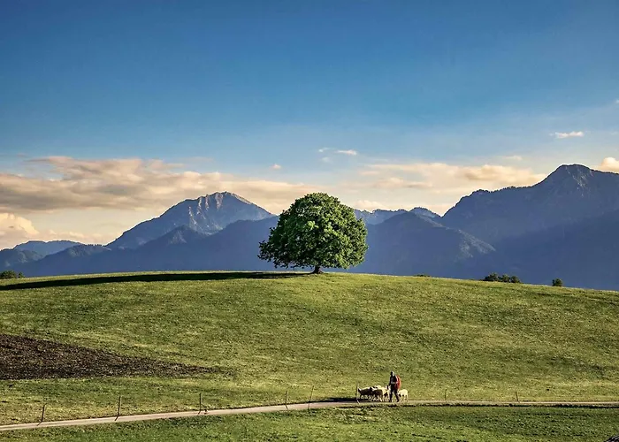 Rosi's Kampenwandblick Prien am Chiemsee